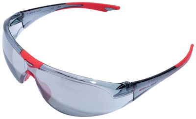 GLASÖGON ZEKLER 31HC/AF SILVER