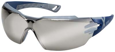 GLASÖGON CX2 SILVER